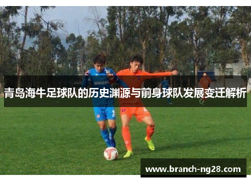 青岛海牛足球队的历史渊源与前身球队发展变迁解析