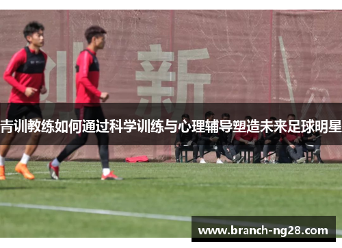 青训教练如何通过科学训练与心理辅导塑造未来足球明星
