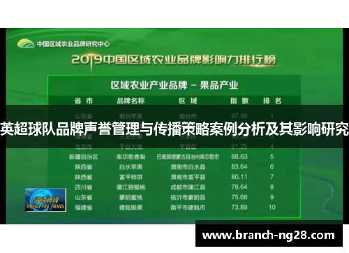 英超球队品牌声誉管理与传播策略案例分析及其影响研究