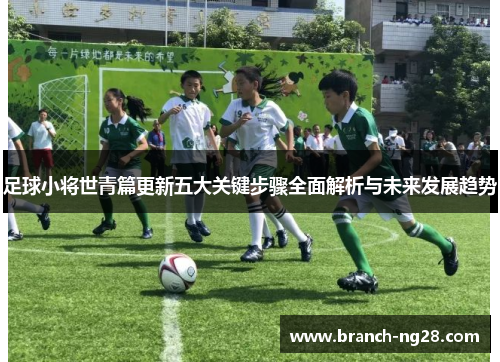 足球小将世青篇更新五大关键步骤全面解析与未来发展趋势