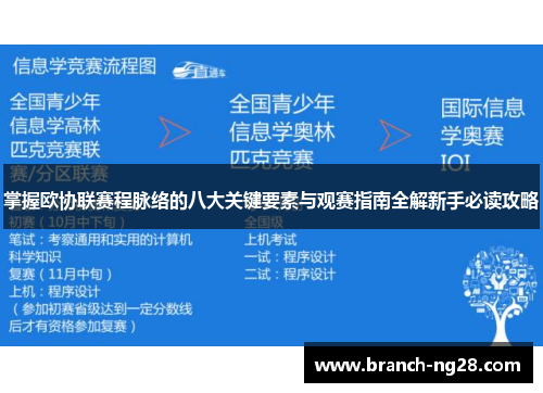 掌握欧协联赛程脉络的八大关键要素与观赛指南全解新手必读攻略