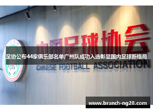 足协公布44家俱乐部名单广州队成功入选彰显国内足球新格局